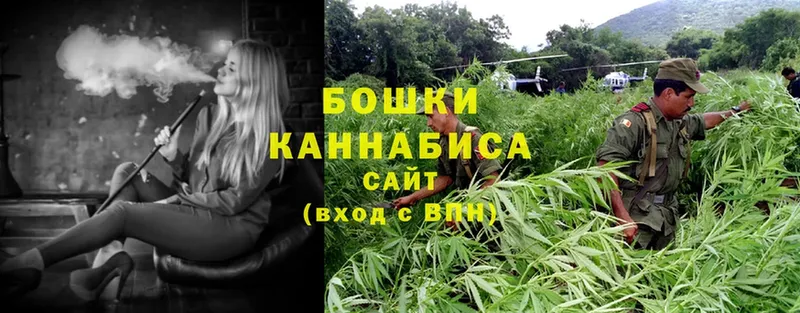 цена наркотик  Тольятти  Бошки марихуана Ganja 